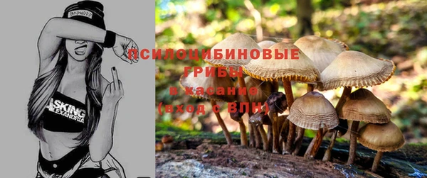 спайс Белокуриха