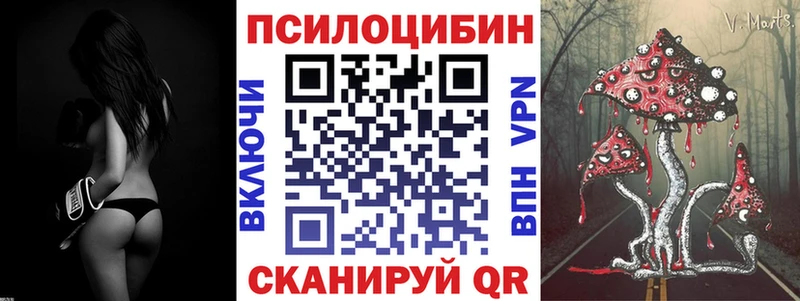 Псилоцибиновые грибы мухоморы  цены   Купино 